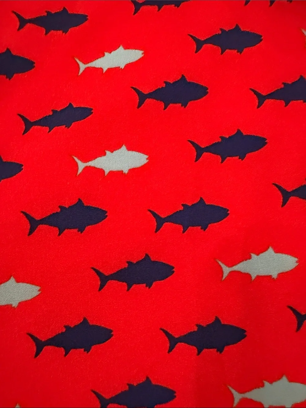 Abercrombie Kids Red Fish Print Swim Shorts